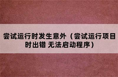 尝试运行时发生意外（尝试运行项目时出错 无法启动程序）